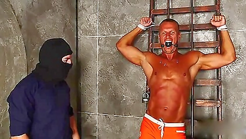 Lifeguard Artem Final