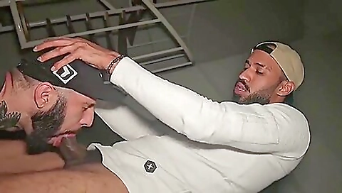 Nibble Ginormous De Macanon