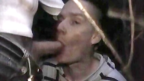 Hampstead Heath Plowing